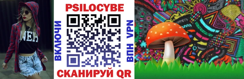 Купить  Россошь  Галлюциногенные грибы прущие грибы 